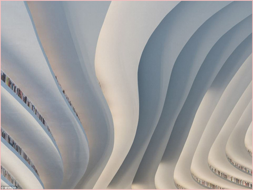 2018-03-08-tv-nhan-cau 08