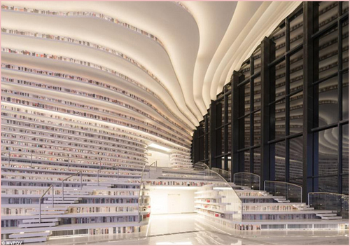 2018-03-08-tv-nhan-cau 09